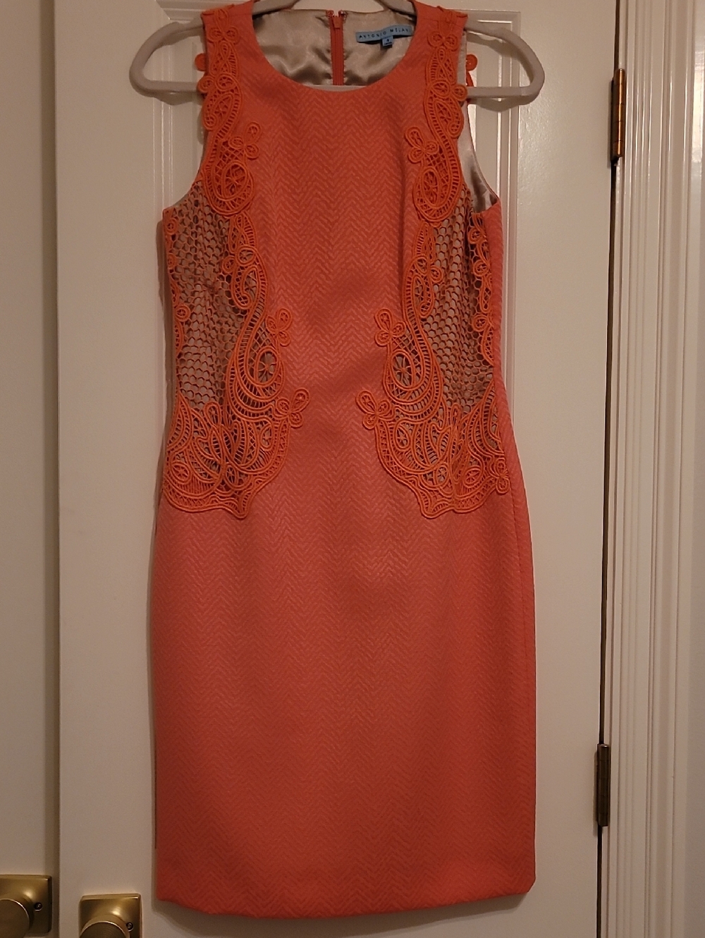 ANTONIO MELANI Coral Lace-Inset Midi Sheath Dress 4